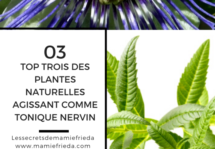 TOP TROIS (03) DES PLANTES NATURELLES AGISSANT COMME TONIQUE NERVIN